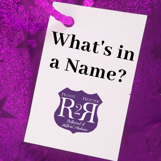 TBT Chapter 3 - My Story - Why did I choose “Root 2 Route”?