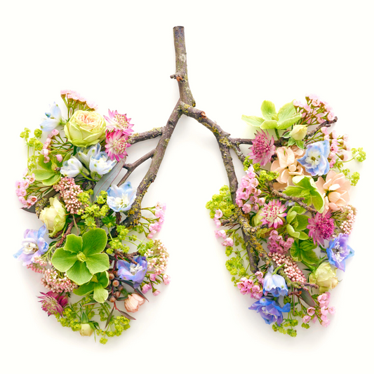 Tools and Knowledge to Improve Lung Health