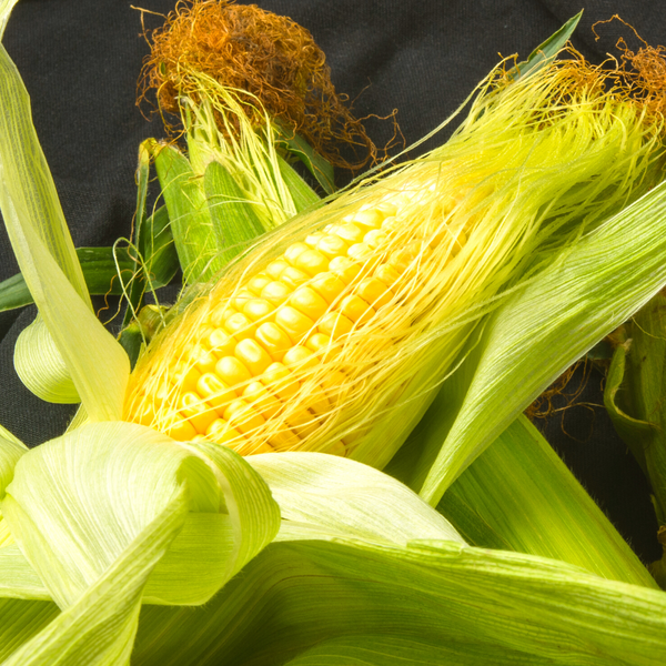 The Natural Benefits of Corn Silk