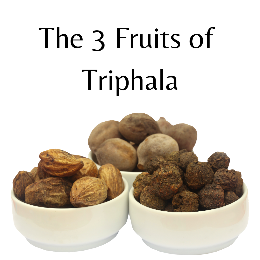 What Are The Three Fruits of Triphala and Who Can Benefit?