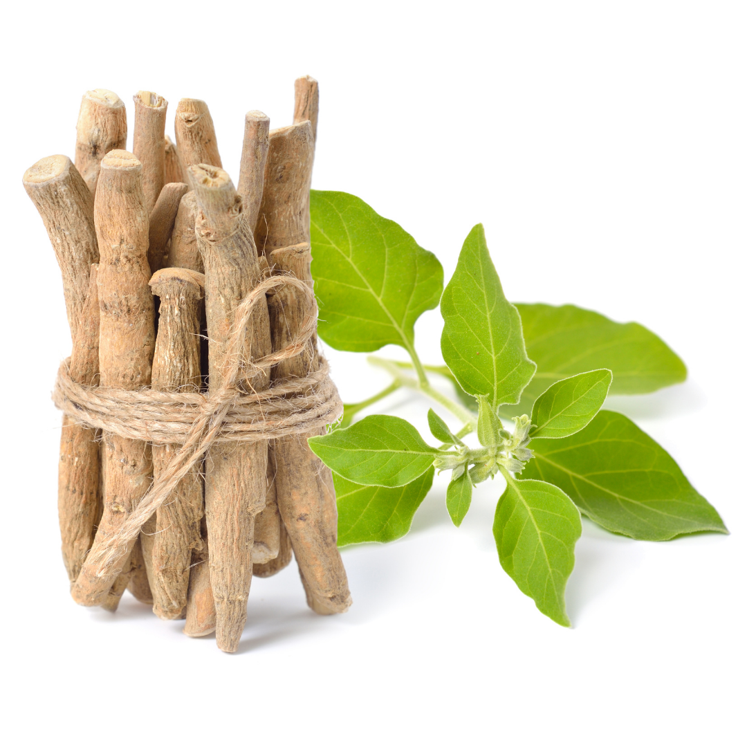 Ashwagandha & Anxiety