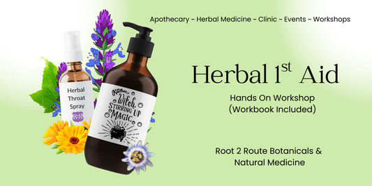 Herbal 1st Aid Workshop