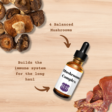 Load image into Gallery viewer, Mushroom Complex