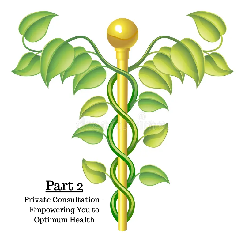 Part 2 (Private Consultation - Empowering You to Optimum Health)
