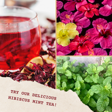 Load image into Gallery viewer, Hibiscus Mint Tea