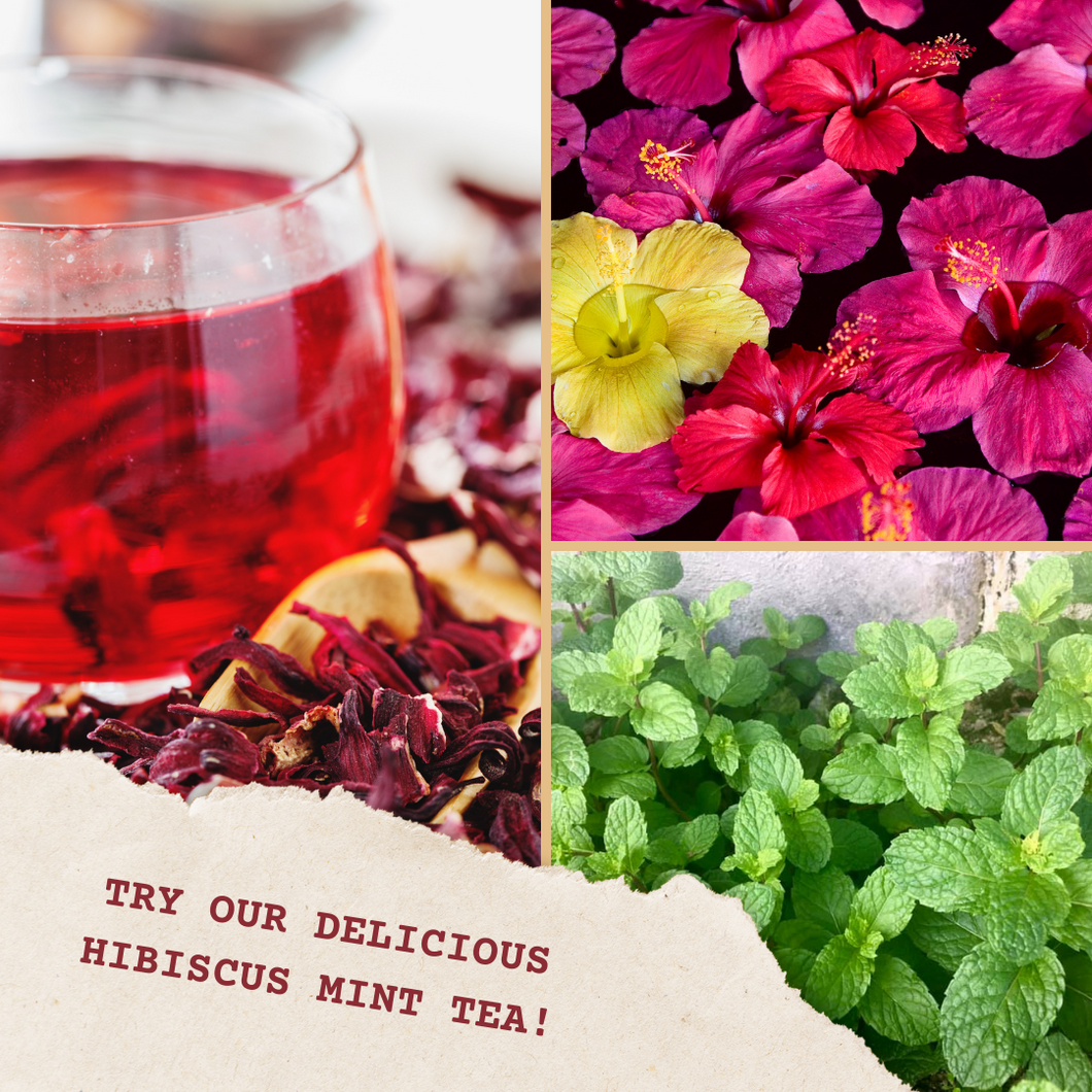 Hibiscus Mint Tea