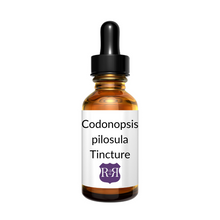 Load image into Gallery viewer, Codonopsis tincture