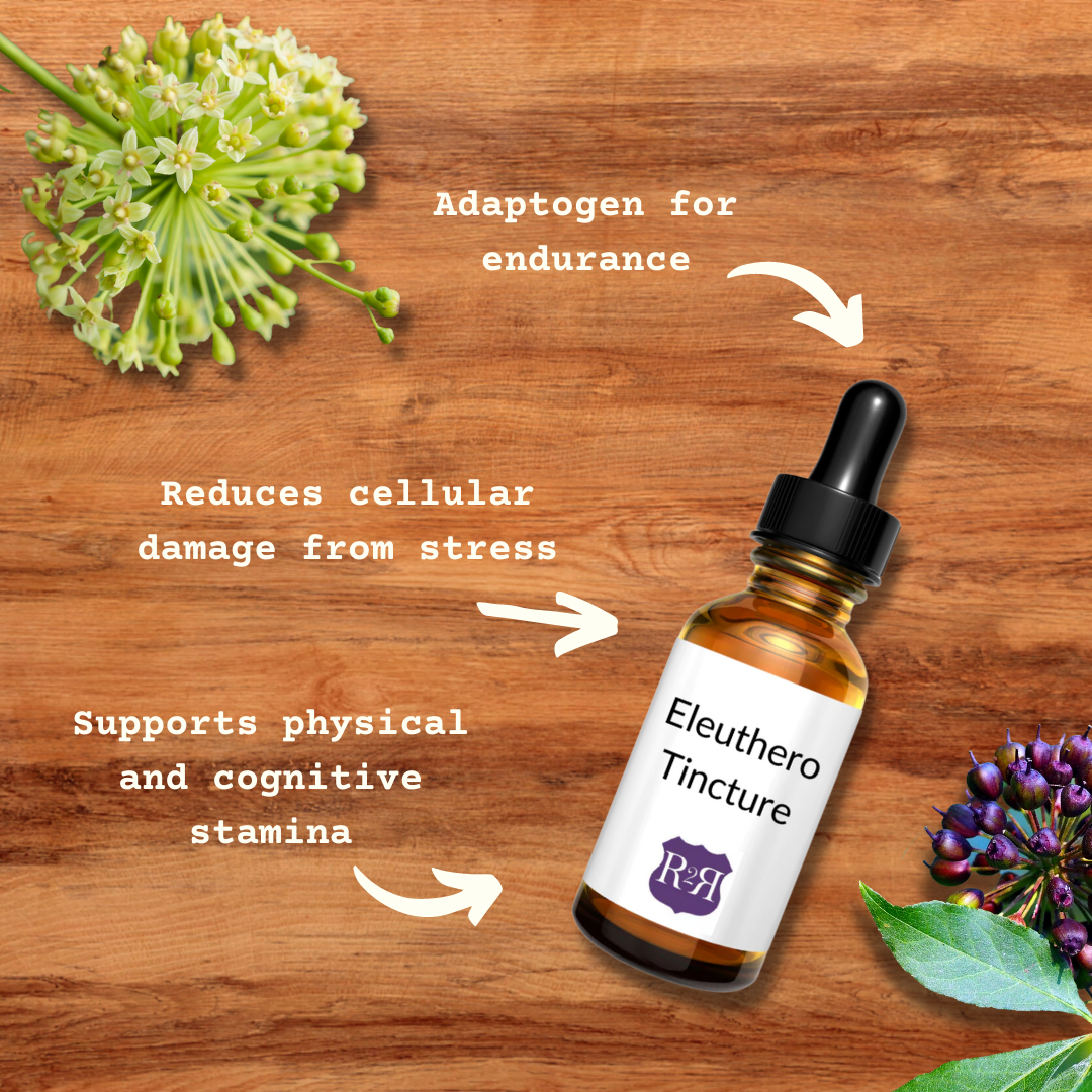 Eleuthero tincture