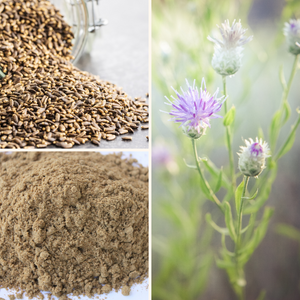 Milk Thistle Seed Powder