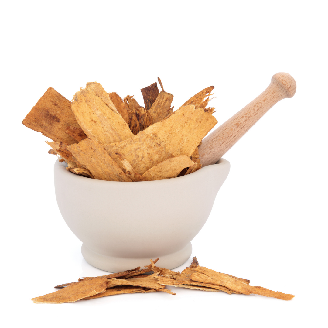 Astragalus Tincture